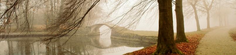 misty with a bridge